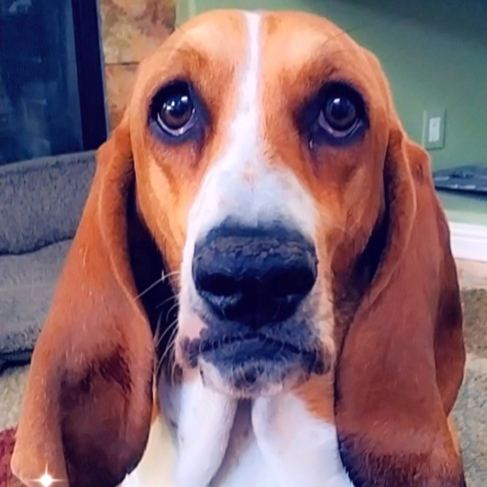 Meet your Posher, Jeanne